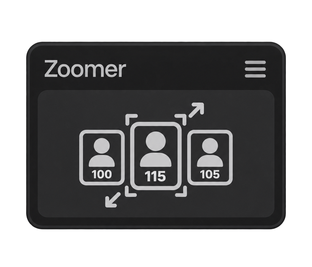 Zoomer plugin interface icon
